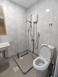 The Sunny Spring (D14), Apartment #572946751